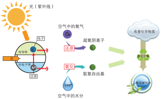 沒有紫外線光觸媒能不能除甲醛？