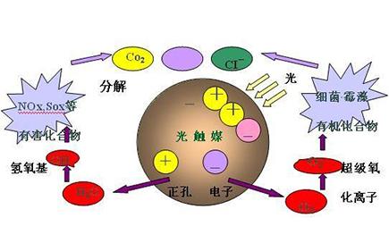 新房除甲醛，光觸媒是不是最有效的？