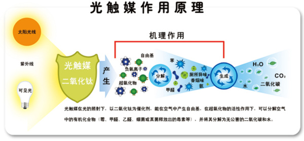 這些有效的除甲醛方法，你都知道嗎？